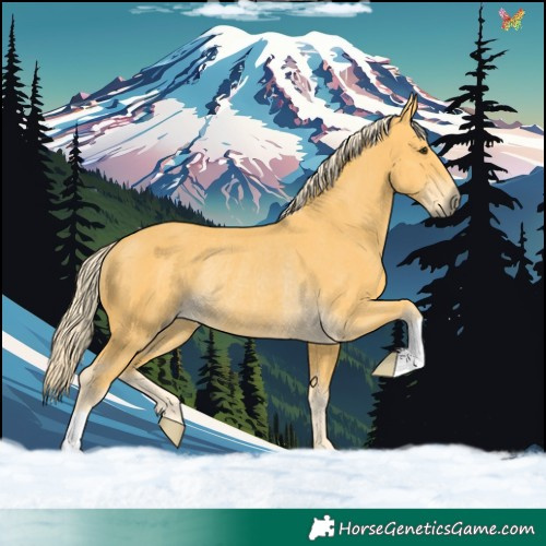 Horse Color:Palomino Rabicano 