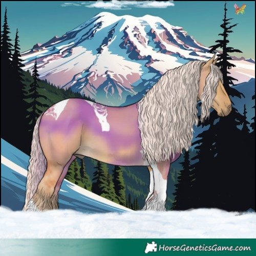 Horse Color:Palomino Dun Tobiano 
