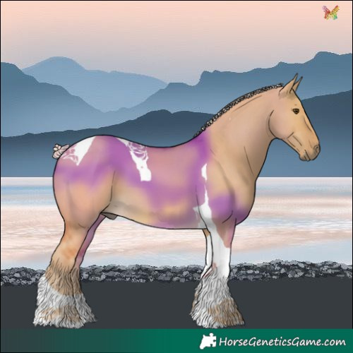 Horse Color:Palomino Dun Tobiano 