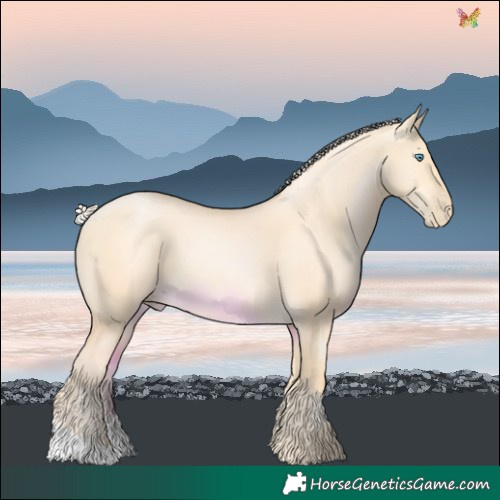 Horse Color:Palomino Pearl Dun 