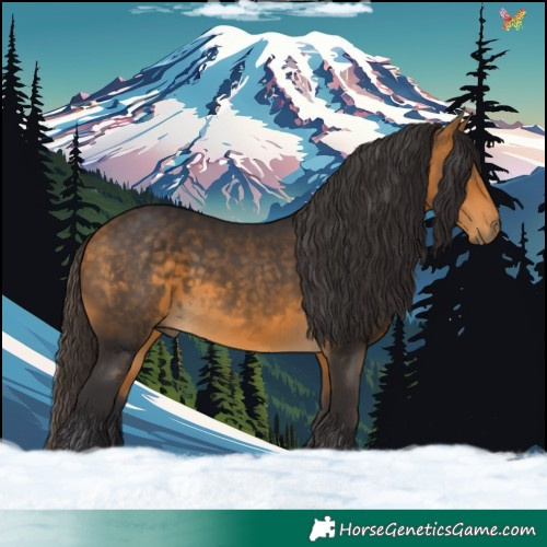 Horse Color:Buckskin 