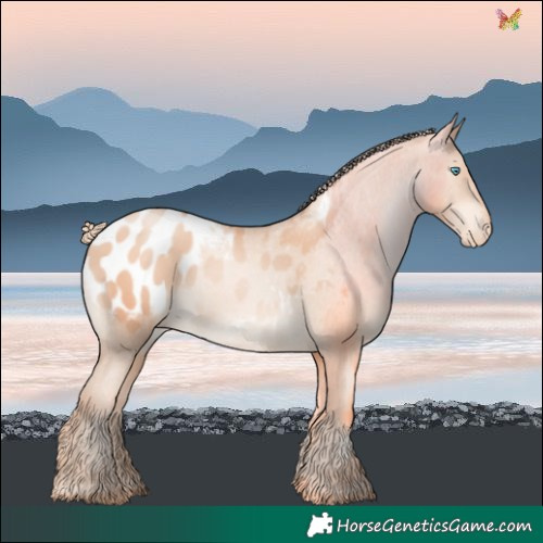 Horse Color:Gold Champagne Pearl Blanket 
