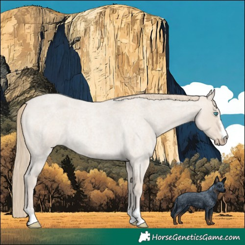Horse Color:Smoky Creme Roan 