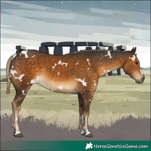 Horse Color:White Spotted Chocolate Palomino 