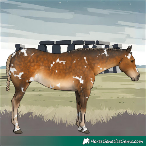 Horse Color:White Spotted Chocolate Palomino 