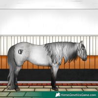 Horse Color:Gray Grullo Roan 