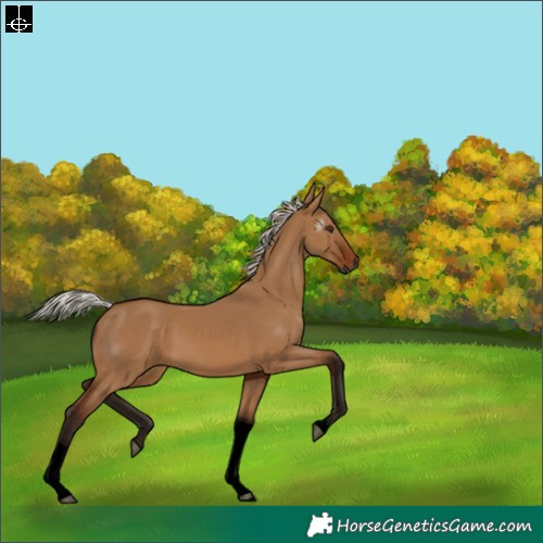 Horse Color:Gray Void Silver Bay Dun Tobiano 
