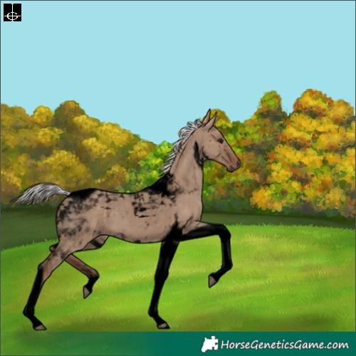 Horse Color:Void Silver Grullo Tobiano 