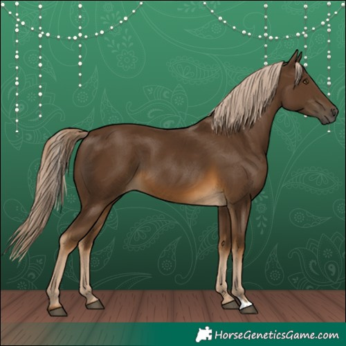 Horse Color:Chocolate Palomino 