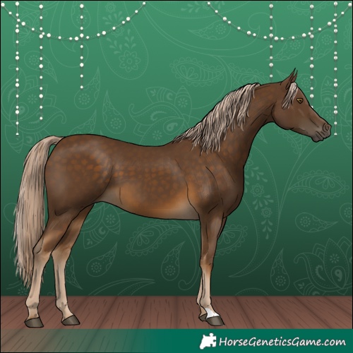 Horse Color:Chocolate Palomino 