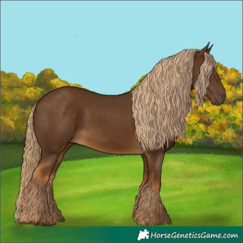 Horse Color:Chocolate Palomino 