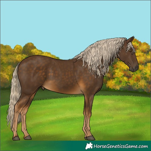 Horse Color:Chocolate Palomino 
