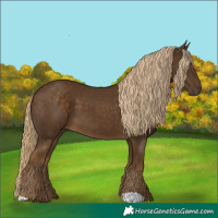 Horse Color:Chocolate Palomino 