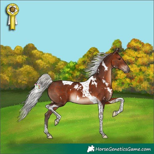 Horse Color:White Spotted Silver Brown Tobiano Rabicano 
