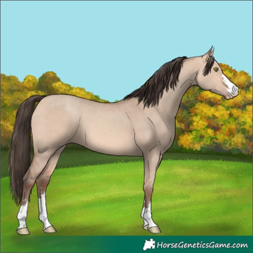 Horse Color:Amber Champagne Dun 