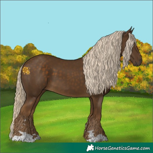 Horse Color:Chocolate Palomino 