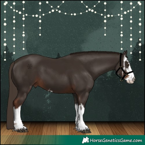 Horse Color:White Spotted Liver Chestnut 