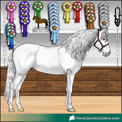 Horse Color:Gray Chestnut  and Gray Chocolate Black 