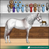 Horse Color:Gray Chestnut and Gray Chocolate Black