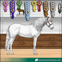 Horse Color:Gray Chestnut and Gray Chocolate Black