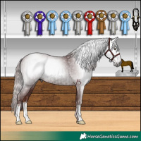 Horse Color:Gray Chestnut  and Gray Chocolate Black 