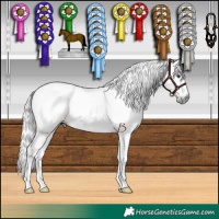 Horse Color:Gray Chestnut  and Gray Chocolate Black 
