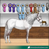 Horse Color:Gray Chestnut  and Gray Chocolate Black 