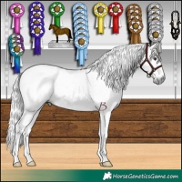 Horse Color:Gray Chestnut  and Gray Chocolate Black 