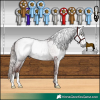 Horse Color:Gray Chestnut and Gray Chocolate Black