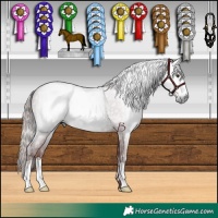 Horse Color:Gray Chestnut and Gray Chocolate Black