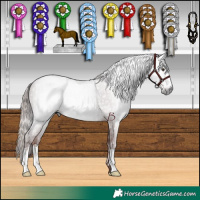 Horse Color:Gray Chestnut  and Gray Chocolate Black 