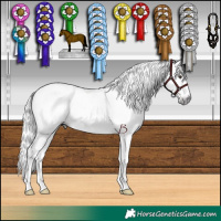 Horse Color:Gray Chestnut  and Gray Chocolate Black 