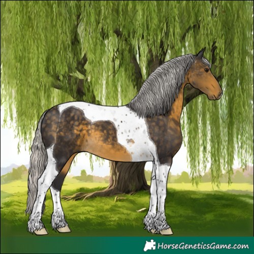 Horse Color:Silver Buckskin Tobiano 