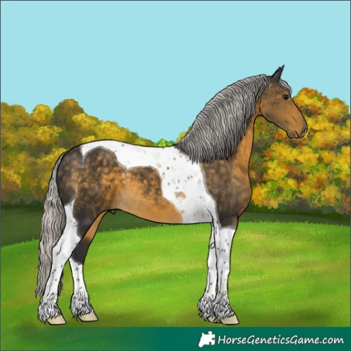Horse Color:Silver Buckskin Tobiano 