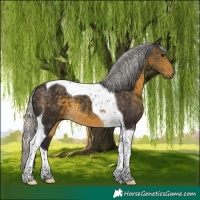 Horse Color:Silver Buckskin Tobiano