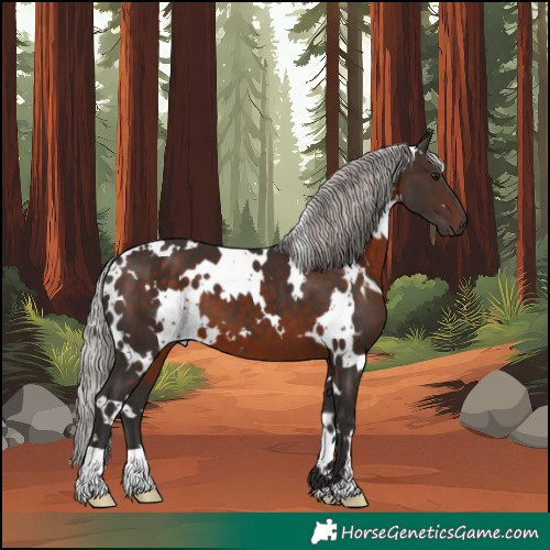 Horse Color:White Spotted Silver Brown 