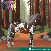 Horse Color:White Spotted Silver Brown