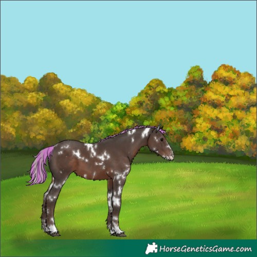 Horse Color:Painted White Spotted Silver Black 