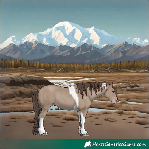 Horse Color:Silver Classic Champagne Tobiano Rabicano 