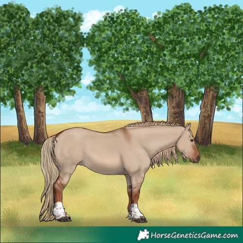 Horse Color:Red Dun Tobiano Rabicano 