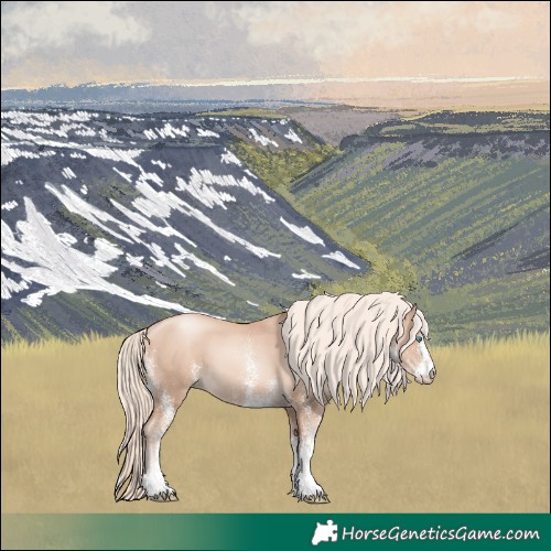 Horse Color:White Spotted Gold Cream Champagne Pearl 