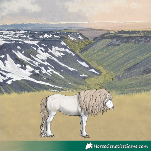 Horse Color:Classic Cream Champagne Roan Splash Appaloosa Rabicano 