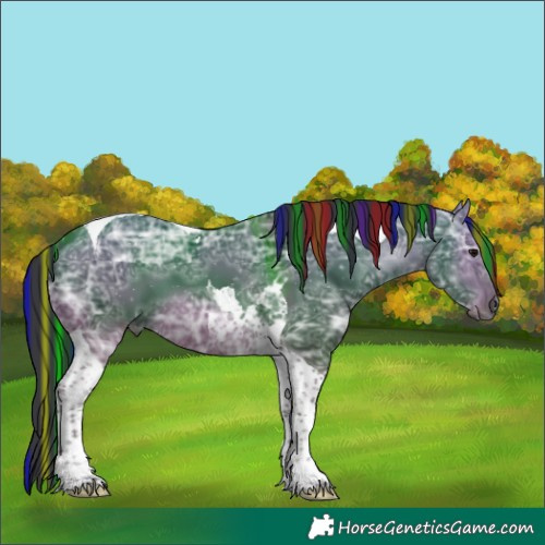 Horse Color:Painted Grullo Ice Tobiano 