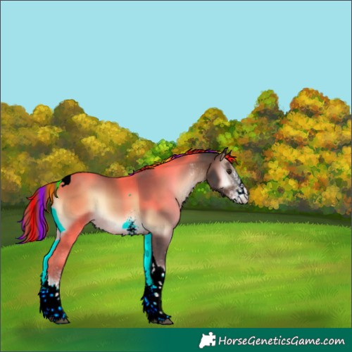Horse Color:Painted White Spotted Liver Red Onyx Tobiano Rabicano 
