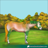 Horse Color:Watercolor Brown Onyx 