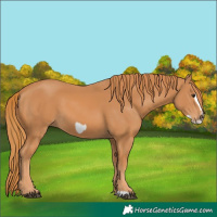 Horse Color:Chestnut Frame