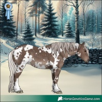 Horse Color:White Spotted Silver Black