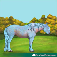 Horse Color:Watercolor Brown 