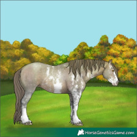 Horse Color:Watercolor Brown Pearl Sabino