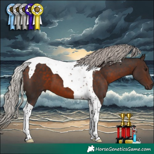 Horse Color:Silver Brown Tobiano 